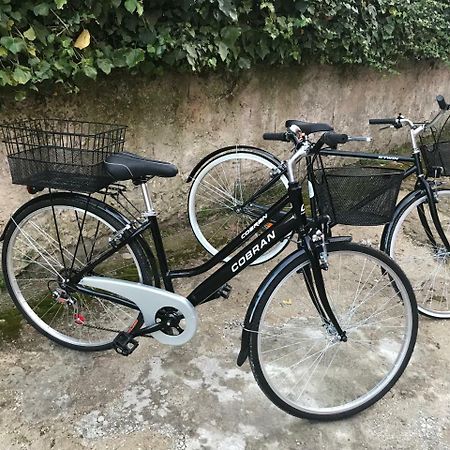 Residenza Margherita 帕尔盖利亚 外观 照片