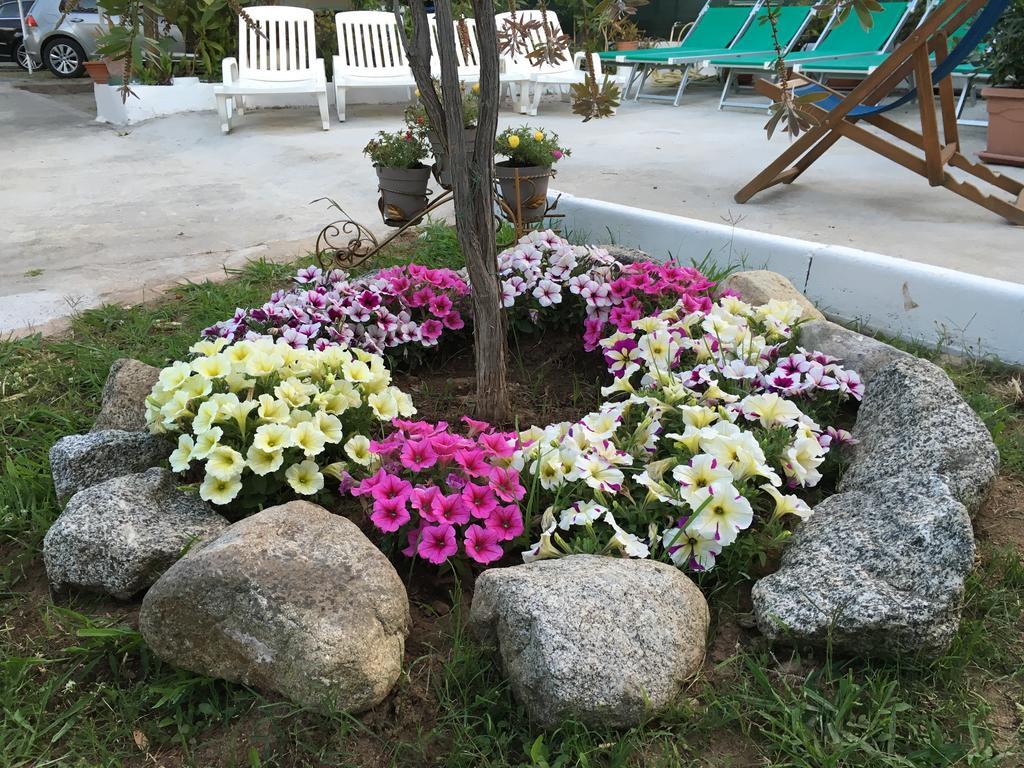 Residenza Margherita 帕尔盖利亚 外观 照片