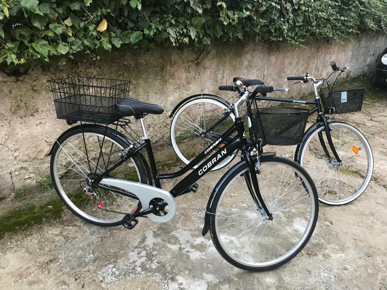 Residenza Margherita 帕尔盖利亚 外观 照片