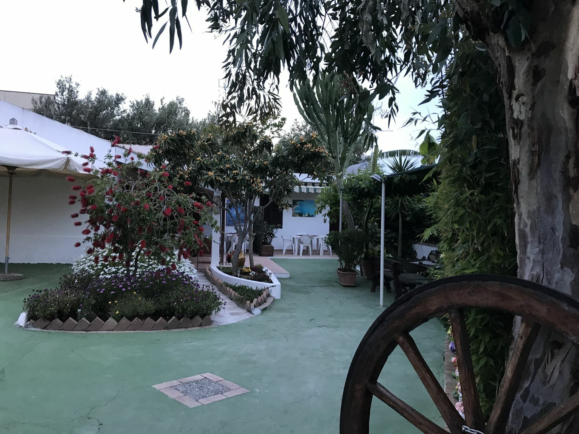 Residenza Margherita 帕尔盖利亚 外观 照片